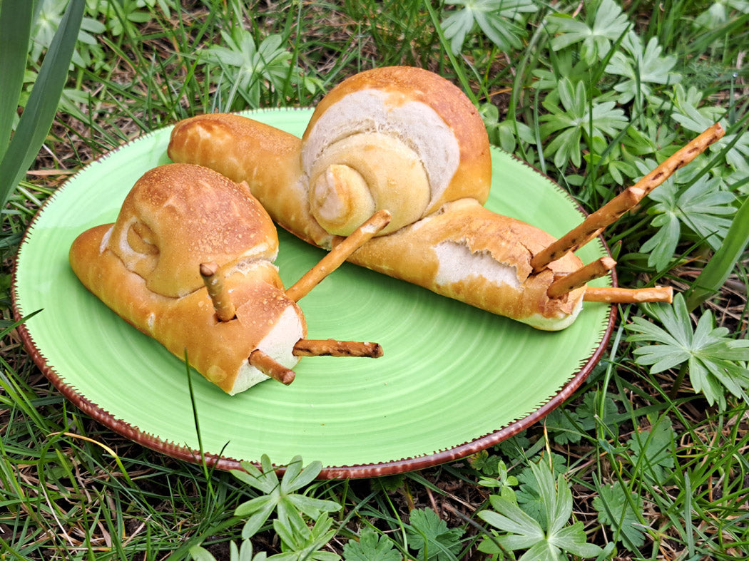 Backtipp Schnelle Schnecken zum Kinderbuch Der kleine Zauberer Pfifferling